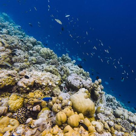 Kihaa Holiday Home Finolhu Bagian luar foto